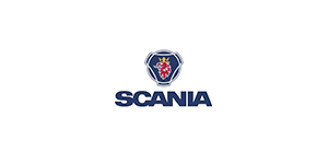 Socius
