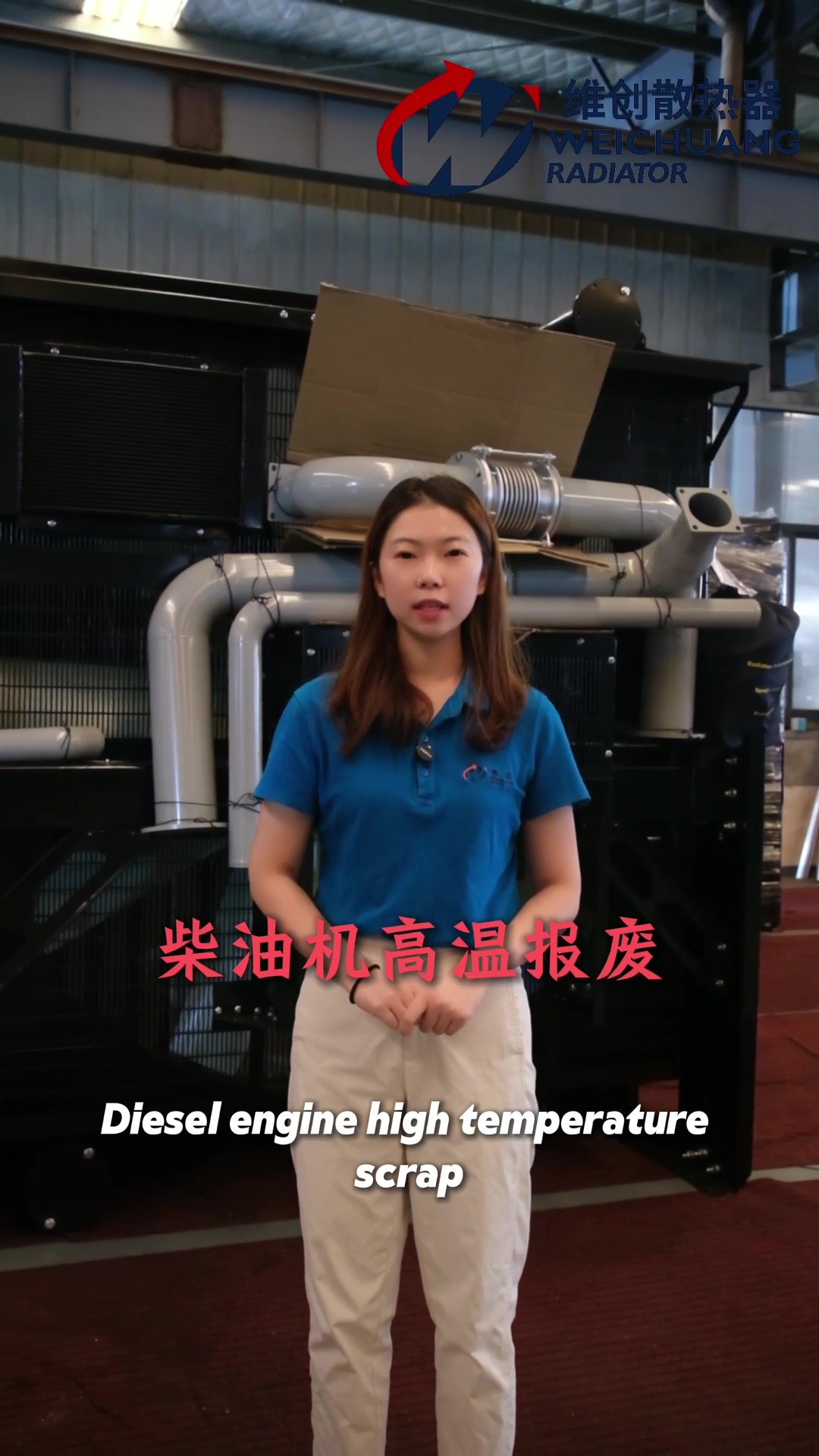 Frigus principium Diesel Generator Sets